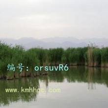 Ȼ