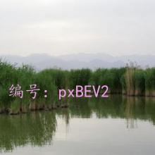 Ȼ