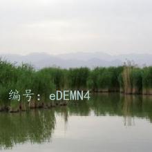 Ȼ