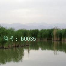 Ȼ